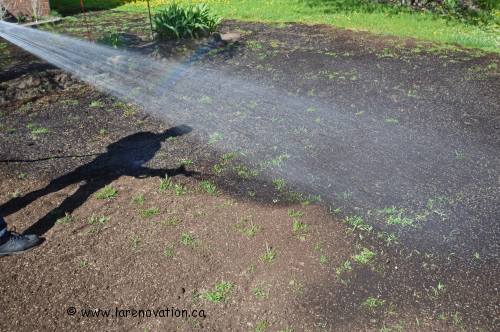 Arroser la r�paration de la pelouse