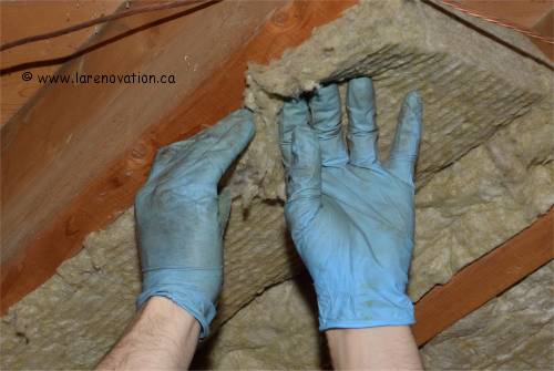 Gants de latex tout usage